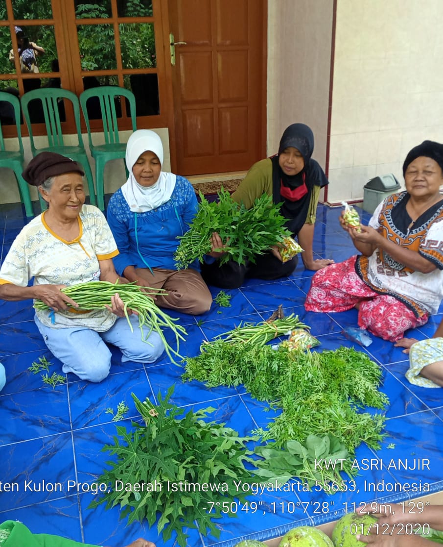 KWT ASRI  Anjir Panen Sayuran
