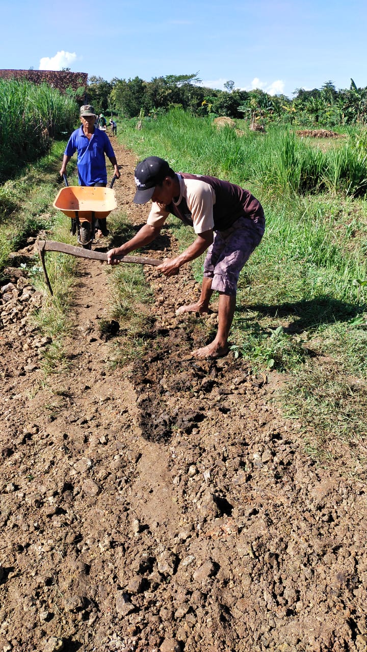 Kerja Bakti Mengurug Pematang Sawah di Bulak Kriyan